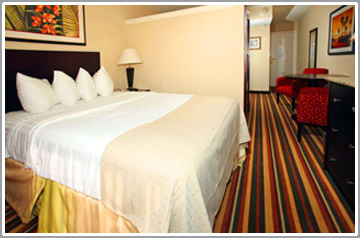 Holiday Inn Maingate East